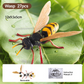 🐞 Gyermekrovar- és állat-szerelő játékok✨