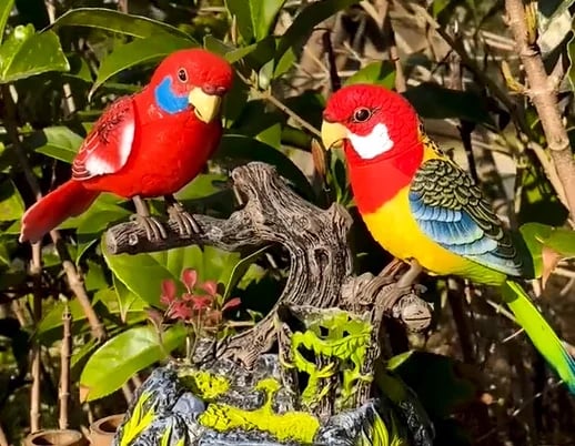 🍃Elektromos akkumulátoros vezérlésű hang-papagájok🦜