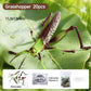 🐞 Gyermekrovar- és állat-szerelő játékok✨