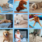 🐶❄️ Hűtőszőnyeg kutyáknak – 4-szer hatékonyabb hűtés a forró nyári napokra