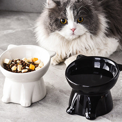 🥣Ergonómikus, emelt kerámia macskatál🐱