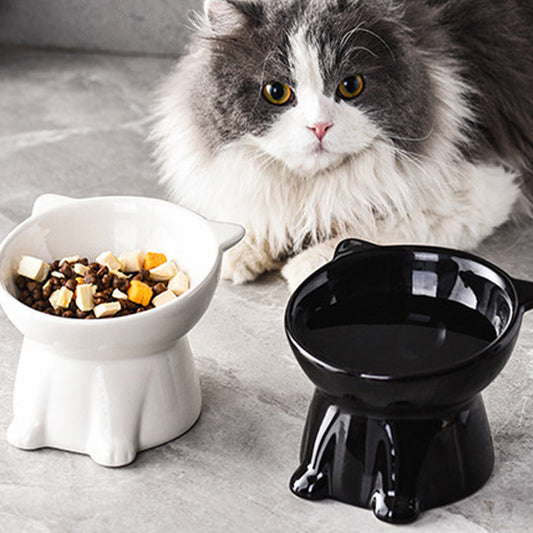 🥣Ergonómikus, emelt kerámia macskatál🐱