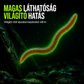 🐟1 +1 Ingyen🎣Bionikus földigiliszta-utánzatú lágycsali