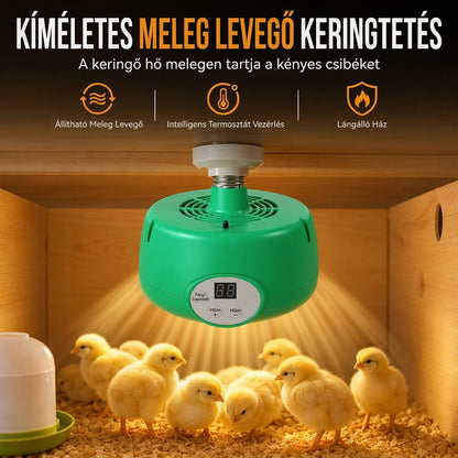 🌡️Intelligens, állandó hőmérsékletű keltetőfűtő🐣